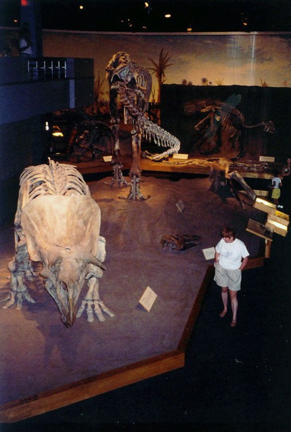 Dinosaur scene at Canada's Tyrrell Museum, Drumheller, Alberta.  Photo my M. Maxine George