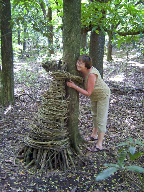 Chris Millikan joins the tree huggers in Fiji.  Courtesy of Rick Millikan