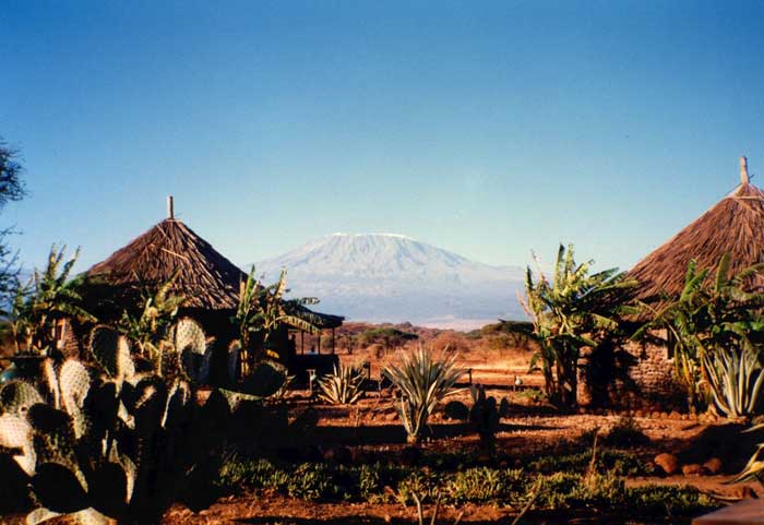 Mt Kilamanjaro seen off in the distance. Picture by M. Maxine George