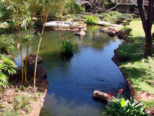 Garden at Four Seasons Resort, Maui. Photo by M. Maxine George