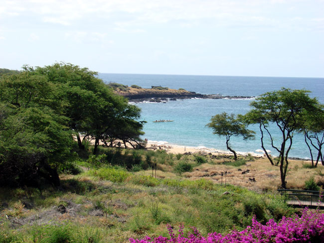 View from our room at the Four Seasons Resort Lanai. Photo by M. Maxine George
