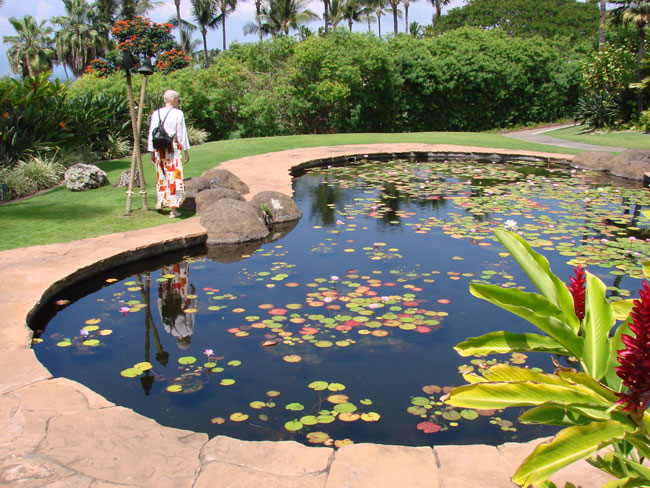 Cathy McDonald watching for fish in lily pond at Wailea Beach Resort, Maui. Photo by M. Maxine George