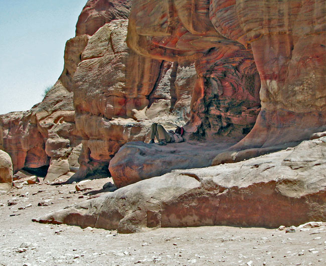 Afternoon siesta in the Jordanian desert.  Photo by Margaret Deefholts