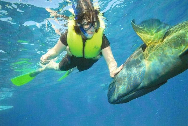 Meeting one of the locals at Sunlover's Pontoon.   Photo courtesy of Barry and Heather Minton