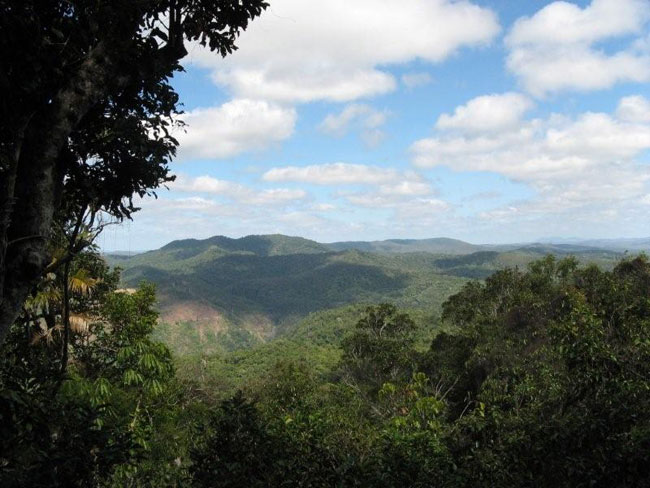 View of North Queensland from the Skytrain.   Photo by Barry and Heather Minton