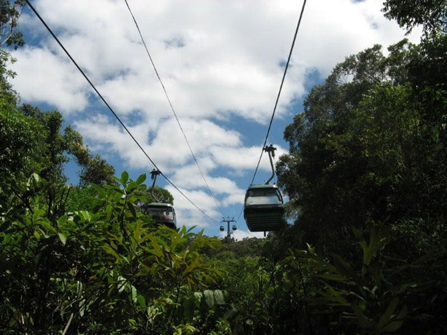Skyrail Rainforest Cableway, North Queensland.   Photo by Barry and Heather Minton