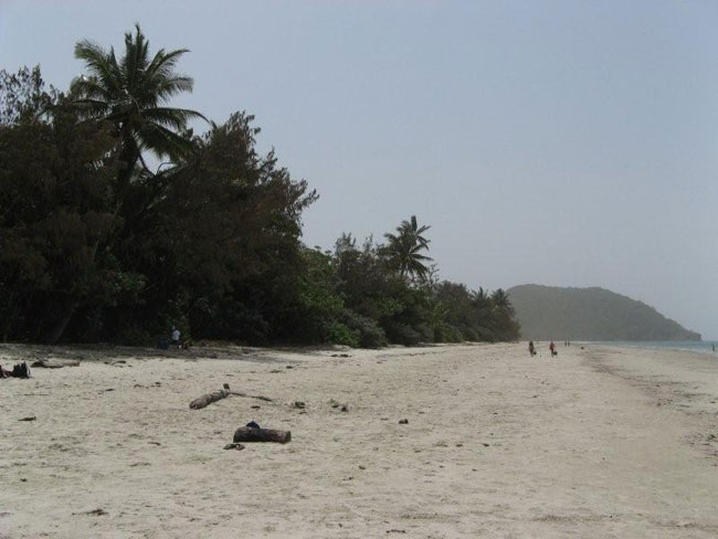 Cape Tribulation, Northern Queensland.  Photo by Barry and Heather Minton