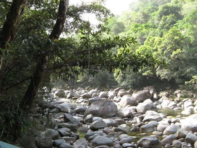 Mossman River Gorge, Northern Queensland.   Photo courtesy of Heather and Barry Minton