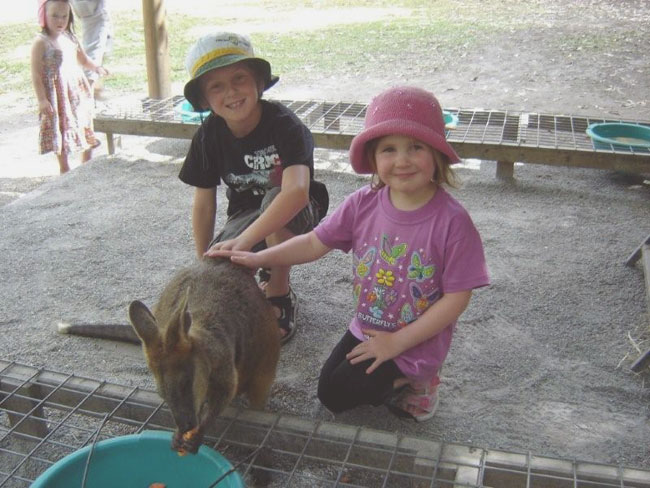 Meeting a wallaby at Hartley's Crocodile Adventures, Northern Queensland.  Photo by Heather and Barry Minton