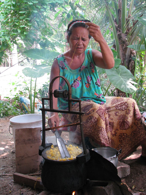 Cocoons being prepared in Isan, Thailand Picture by Rick Butler