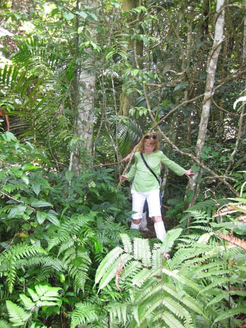 Jungle treking is a challenge in Isan, Thailand Photo by Rick Butler