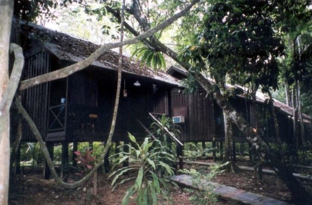 Cabins at Wildlife Expedition's Sukau River Lodge, Sabah, Malaysia by Lenora Hayman