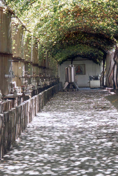 Casa Madero winery wine tanks