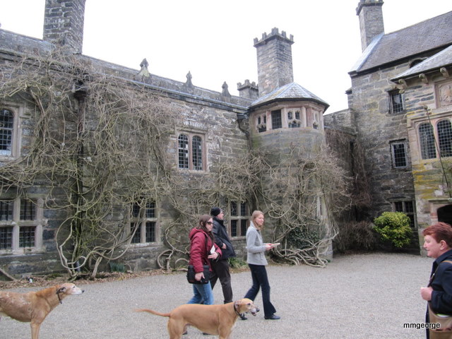 Judy Welford  and her lurcher dogs escort her guests towards Gwydir Castle.  Photo by M. Maxine George 