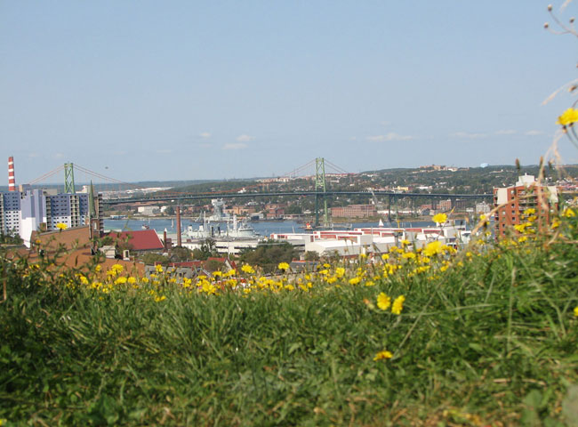 Halifax harbour from the ramparts of the Citadel. Photo by Margaret Deefholts