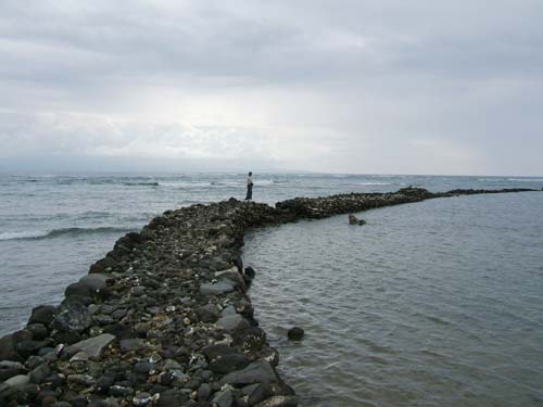 Ancient coastal fishponds are still used by Molokai fishermen.