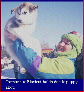 Dominique Florient holds docile puppy