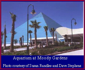 Aquarium at Moody Gardens