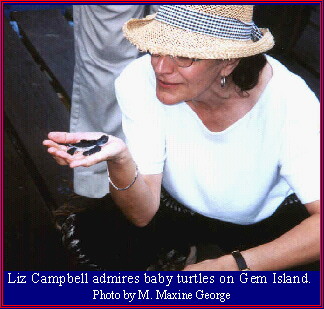Liz admires baby turtles