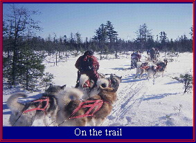 On the trail