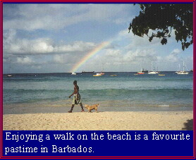 Enjoying a walk on the beach is a favourite pastime in Barabados.