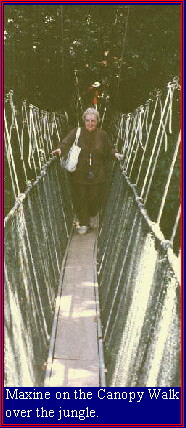 Maxine on the Canopy Walk over the jungle.