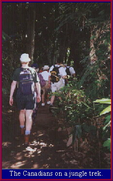 The Canadians begin their jungle trek.