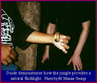 Jungle provides flashlight