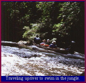 Traveling upriver to swim in the jungle.