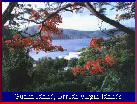 Guana Island, British Virgin Islands