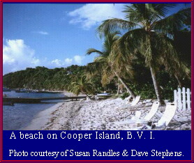 Beach on Cooper Island, British Virgin Islands