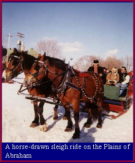A horsedrawn sleigh ride on the Plains of Abraham.