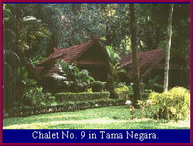The guest chalets at Tama Negara
