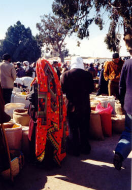 Douz Market Day