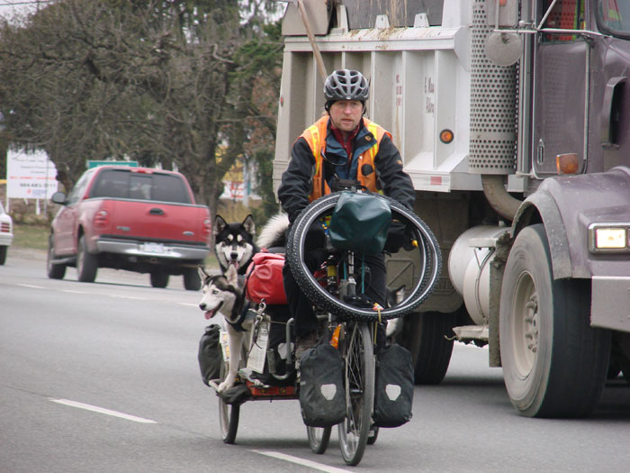 Undaunted by traffic Randolph and dogs cycle on their journey of hope