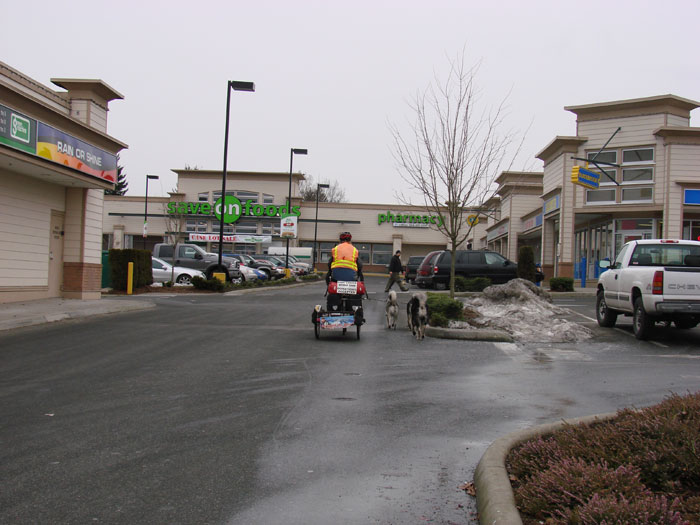 Randolph and the dogs cycle into Aldergrove Mall