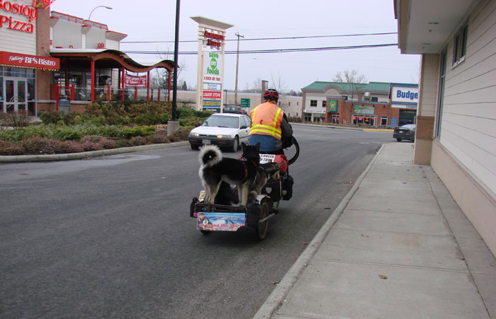 Randolph, Kodak, Chinook and Nanook leave the Aldergrove Mall as they continue on their journey.