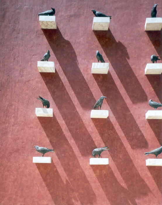 Raven's of Jose Cuervo Distillery, Tequila Mexico